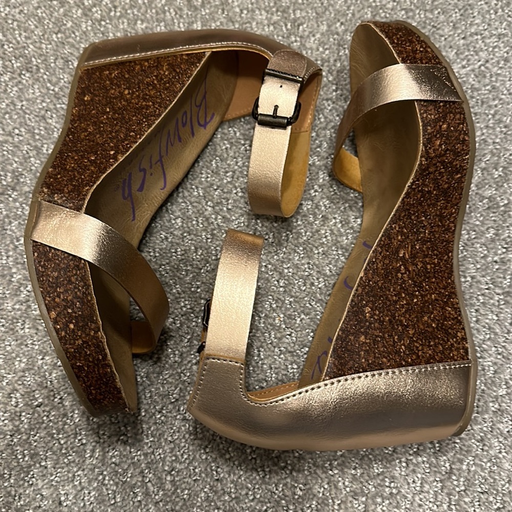 Blowfish cork wedge